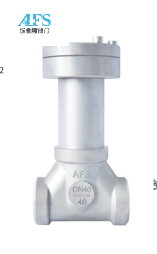 低温真空夹套止回阀DZH61F-40P